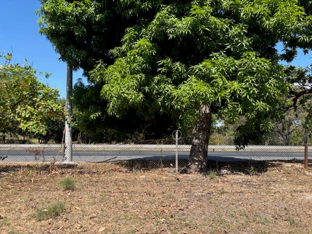 Land in San Carlos